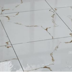 Golden Satuario Glossy